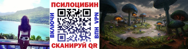 как найти закладки  Починок  Псилоцибиновые грибы MAGIC MUSHROOMS 